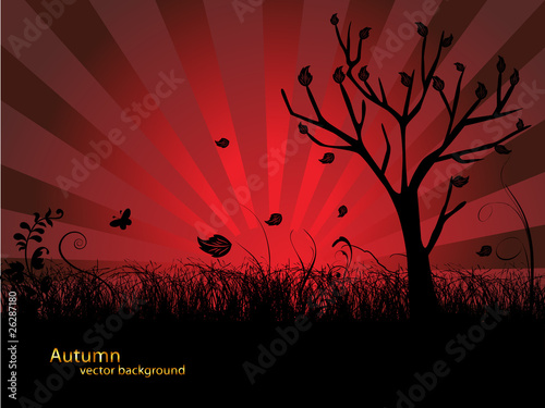 abstract autumn tree and leaves illustration