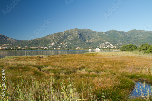 etang de biguglia en corse