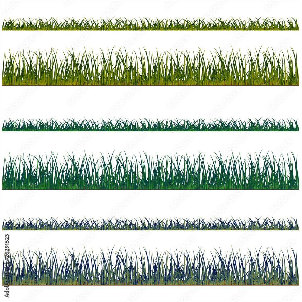 Fototapeta grass backgrounds, vector isolated over white background and gr