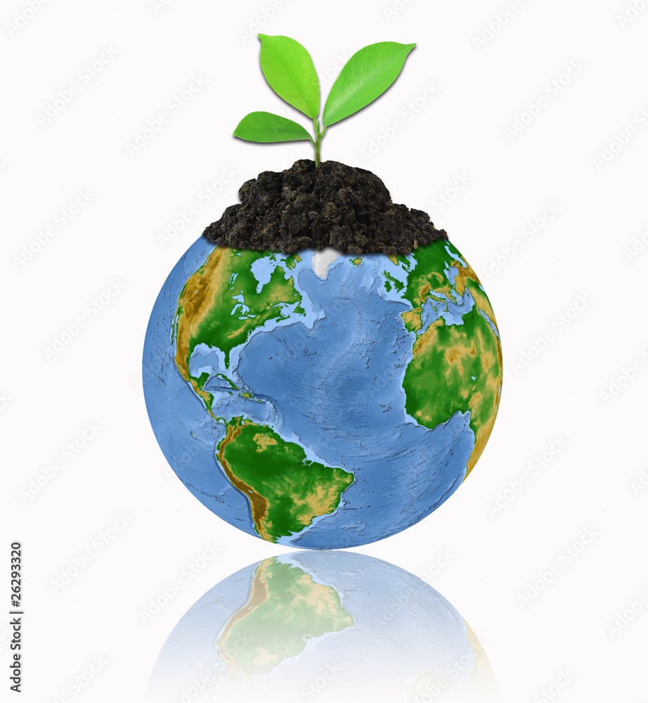 protect the environment concept - earth with a tree isolated ove protect the environment concept - earth with a tree isolated ove