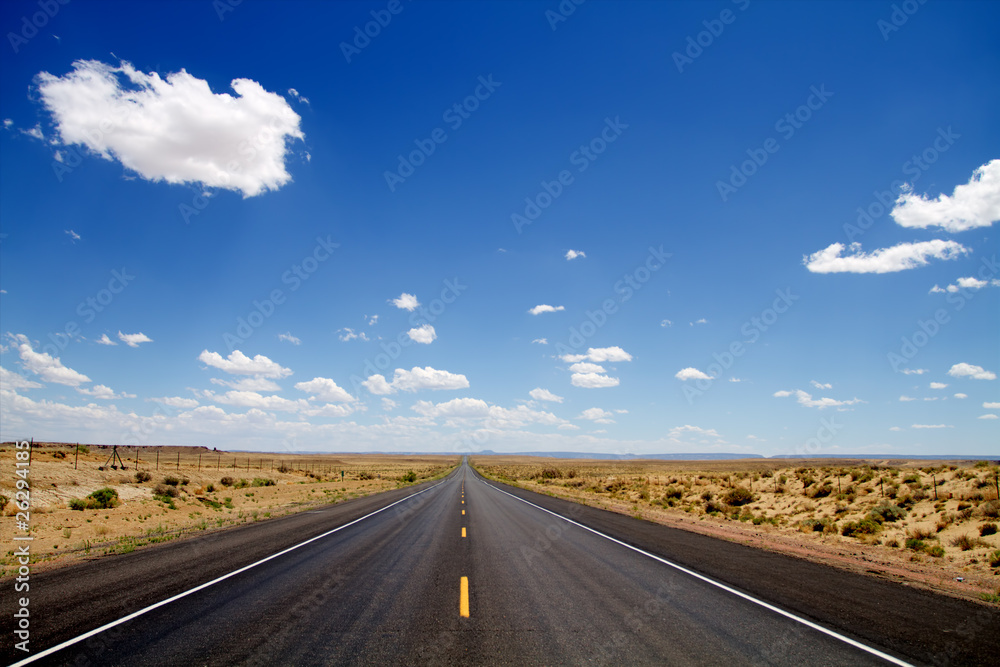 Naklejka premium Streched desert road