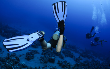 Foto auf Acrylglas Tauchen scuba divers fins swim away from camera  © JonMilnes