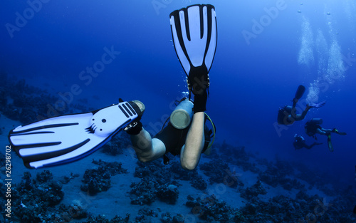 scuba divers fins swim away from camera