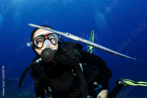 scuba diver looks at cornet fish