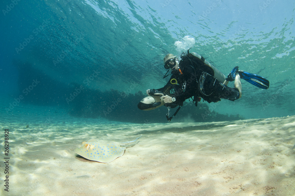 diver on underwater scooter with sting ray diver on underwater scooter with sting ray