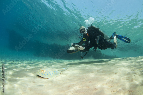 diver on underwater scooter with sting ray