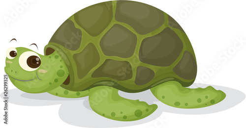 A Tortoise