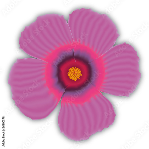 Vector flower