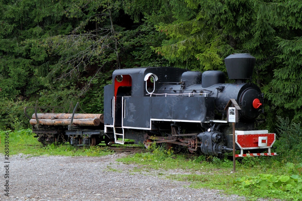 Naklejka premium Steam train