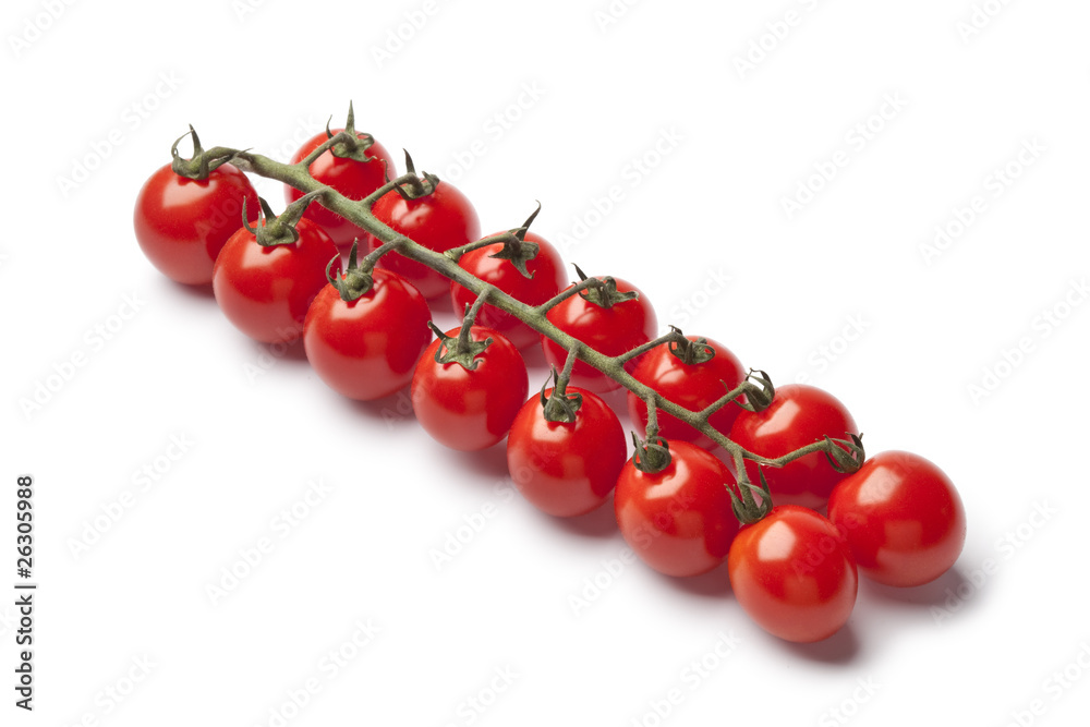 Mini cherry tomatoes on a vine isolated