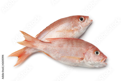 Fresh red snappers