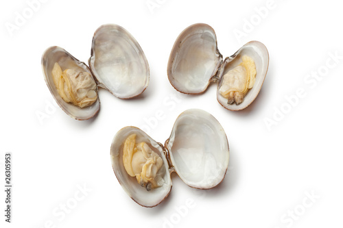 Fotografie Fresh cooked clams