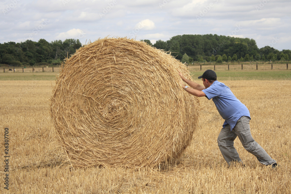 agriculteur et botte de paille Photos | Adobe Stock