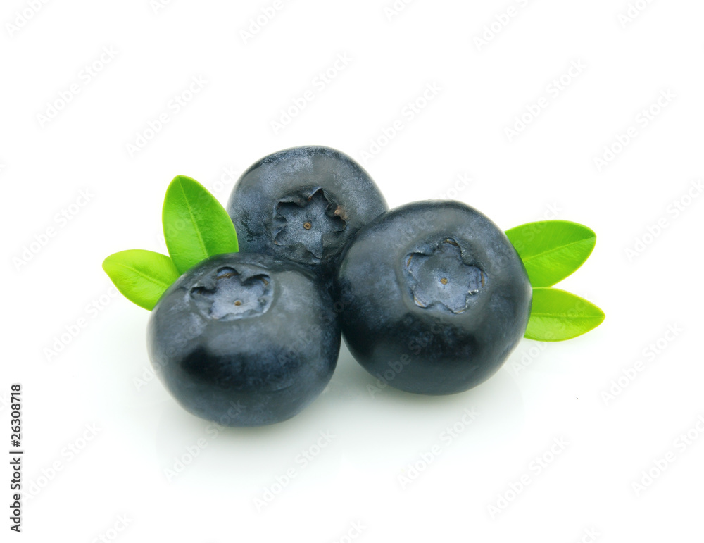 Blueberry Blueberry