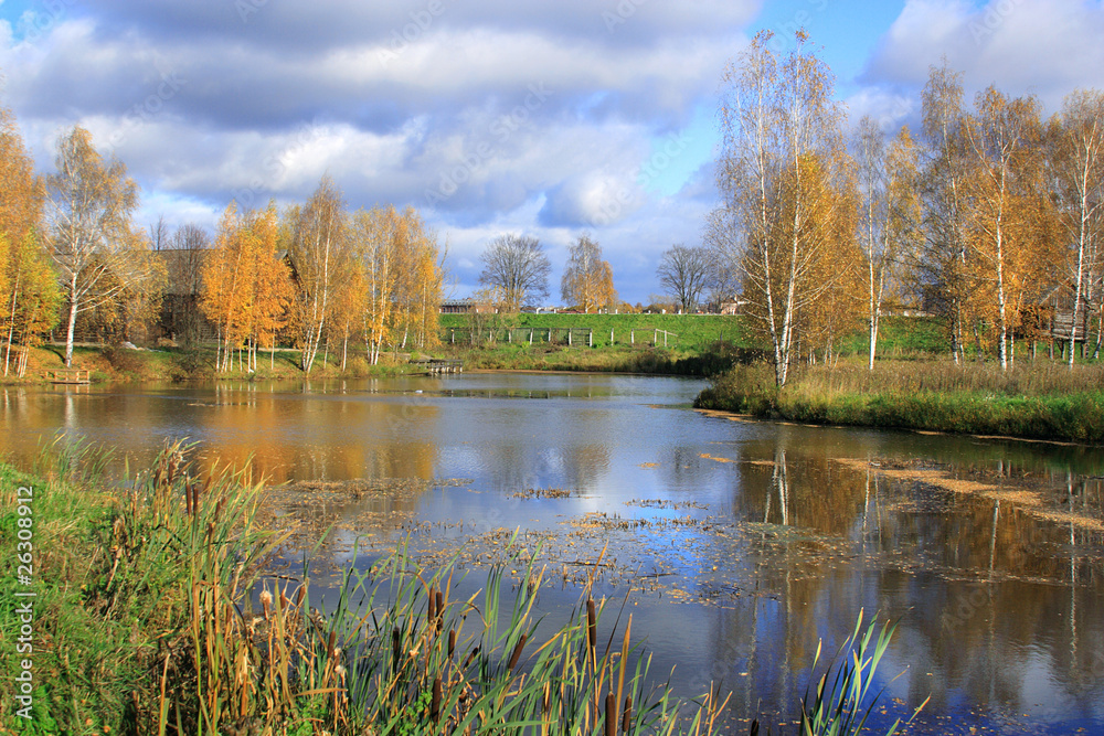 Obraz premium Beautiful landscape in park . Autumn scene