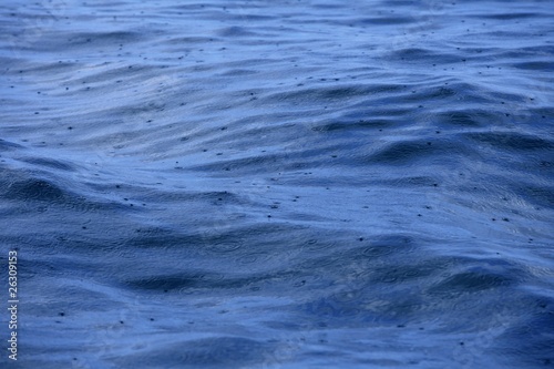 Blue sea surface on rainy day rain falling over waves