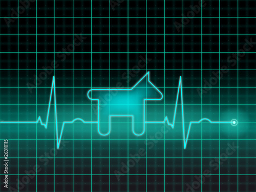 EKG für Haustiere