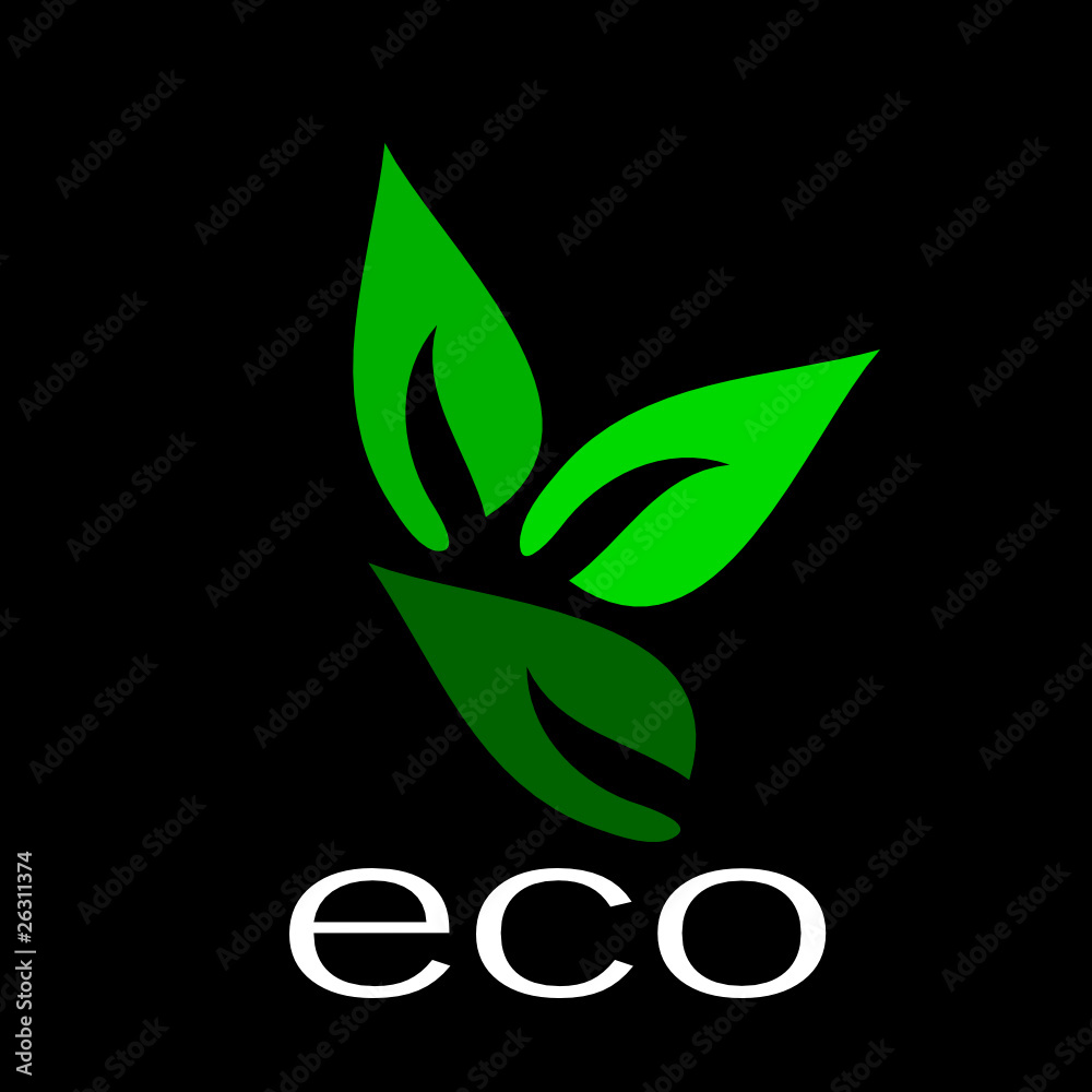 three green leaves on a black background three green leaves on a black background