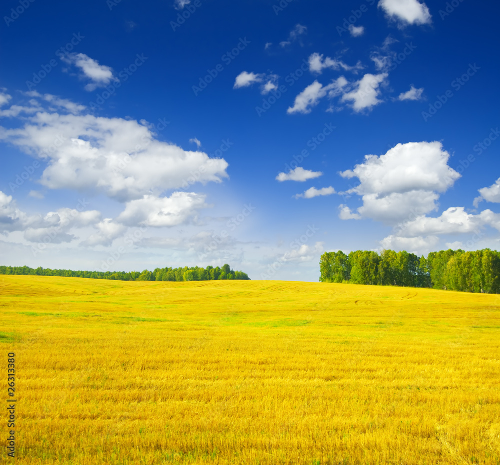 Fototapeta premium Autumn landscape