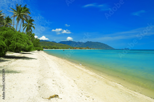 Fototapeta Naklejka Na Ścianę i Meble -  tropical beach