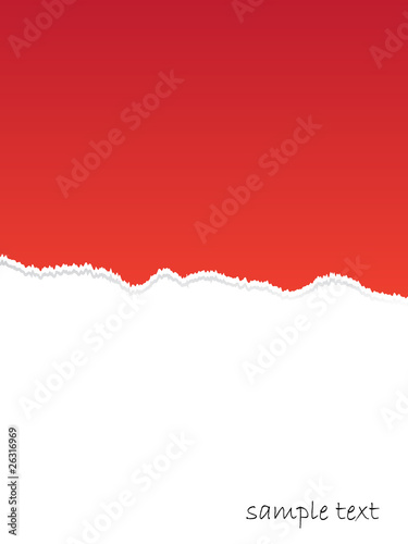 vector ripped paper