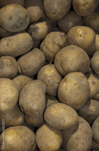 potatoes