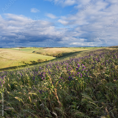 Adelaide Hills