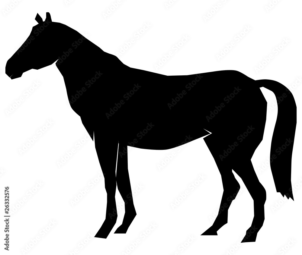 Obraz premium Silhouette of a horse