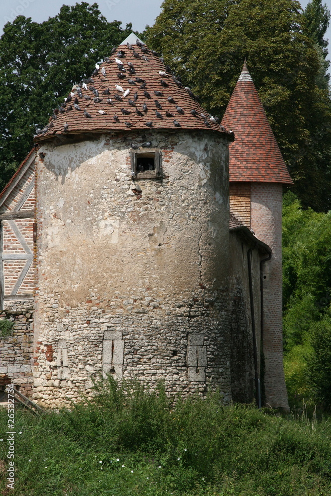 Fototapeta premium pigeonnier