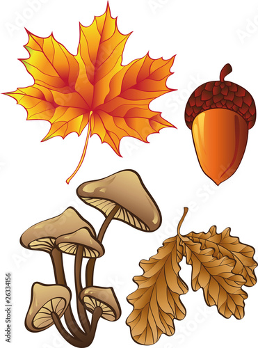 set of autumn plants