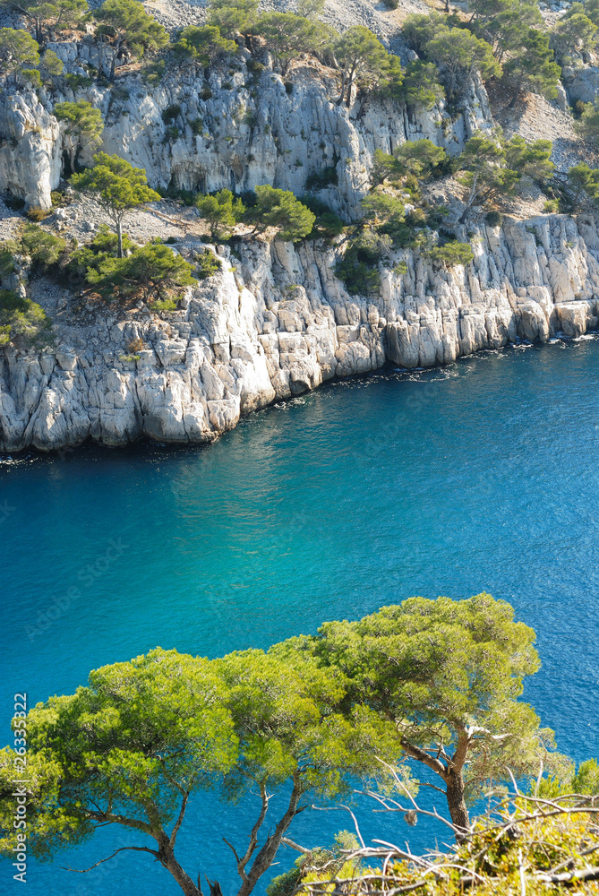 Obraz premium calanque de cassis