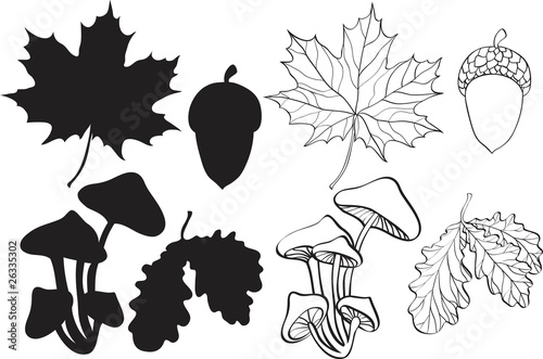 set of silhouette autumn plants