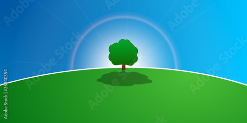 tree in the centre of a green meadow
