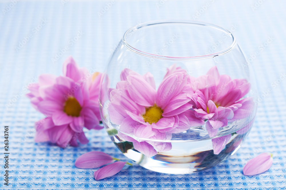 pink flowers in vase pink flowers in vase