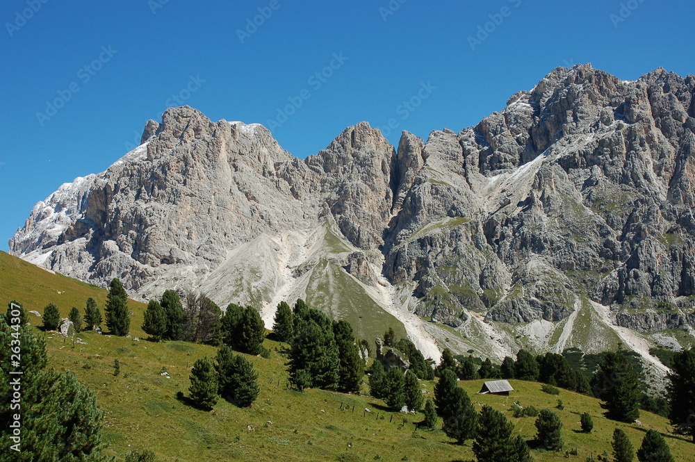 Dolomitie mountains in Val di Fassa, South Tirol.