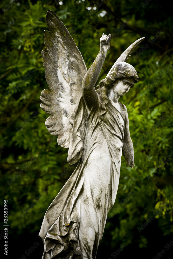 Kamienny cmentarny anioł , pomnik - obrazy, fototapety, plakaty 