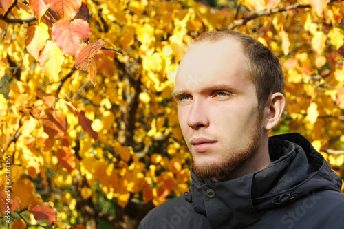 portrait of young man with beard outdoor, autumn tree on backgro