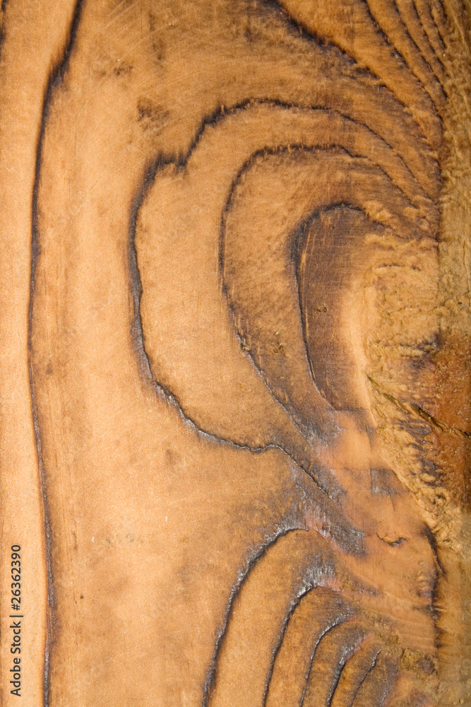 Obraz premium fondo madera