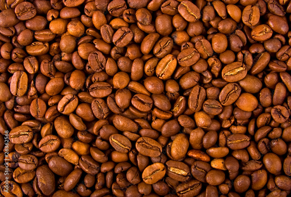 coffee beans coffee beans