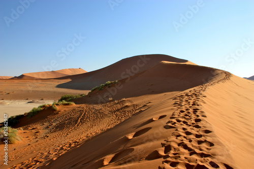 Dune in Namib Desert in Namibia (Soussusvlei)