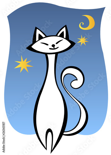 white cat