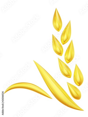 Gold wheat spike