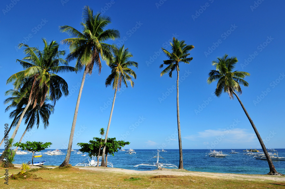 Fototapeta premium Tropical beach