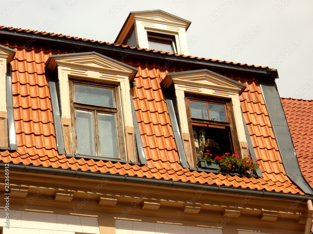 Fototapeta premium Mansard roof and dormers