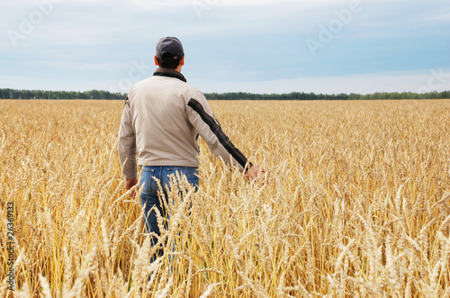 The man among a wheaten field © Alexandr Vasilyev