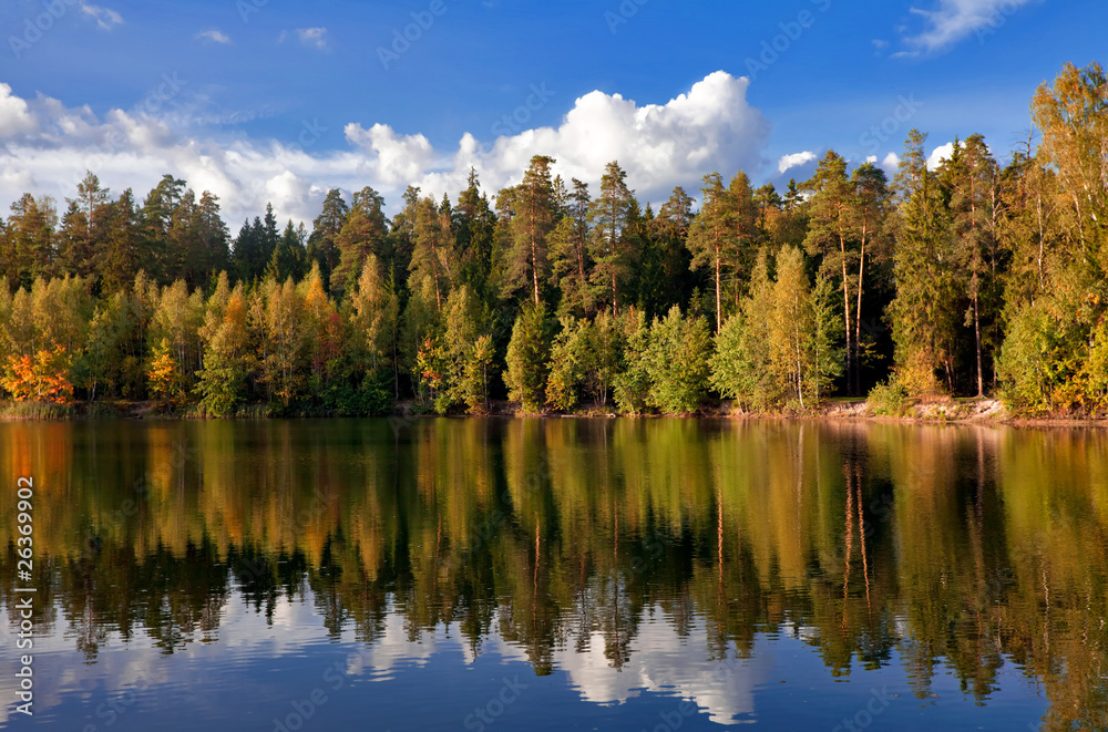 Sunny autumnal forest near the lake