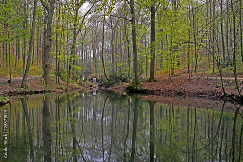 Teichlandschaft mit Laubwald im Frühling, Niedersachsen, Germany