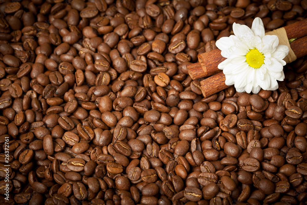 Fototapeta premium Roasted coffee beans background with cinnamon and flower