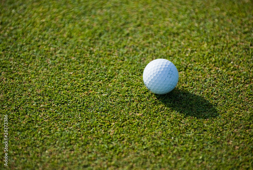 Golf ball on the grass