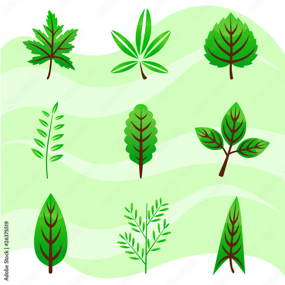 leaf set leaf set